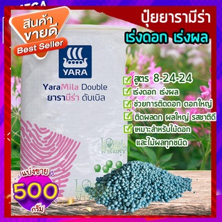 ปุ๋ยยารามีร่า 500 กรัม 🍂 สูตร 8-24-24 ปุ๋ยเคมีปุ๋ยสูตรเร่งดอก เร่งผล ดอกใหญ่ สีสดสวย กระตุ้นให้ติดผลดก ผลใหญ่ รสชาติดี