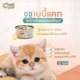 ChooChoo Baby Cat ชูชู อาหารเสริมซุปบำรุงสูตรลูกแมว1กระป๋อง 80 กรัม อาหารลูกแมว นมลูกแมว (เหมาะกับลูกแมว1-3เดือน)