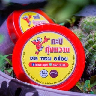 กะปิกุ้งหวาน กระบี่แท้ กุ้งเน้นๆ มีพร้อมส่ง 500 กรัม | Little blue Kapi kung KRABI 500G