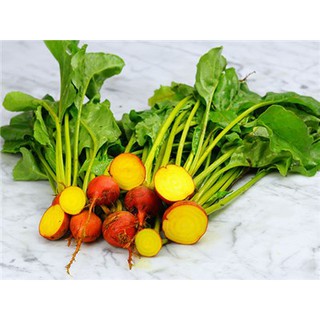 เมล็ด หัวบีชเหลือง โกลเด้นดีทรอย - Golden Detroit Beet