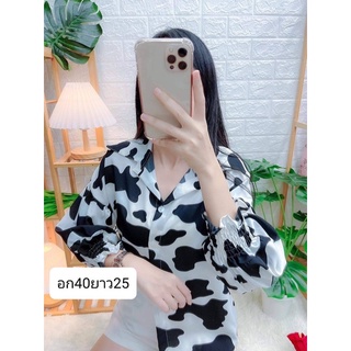 เสื้อเชิ้ตผู้หญิงลายวัว