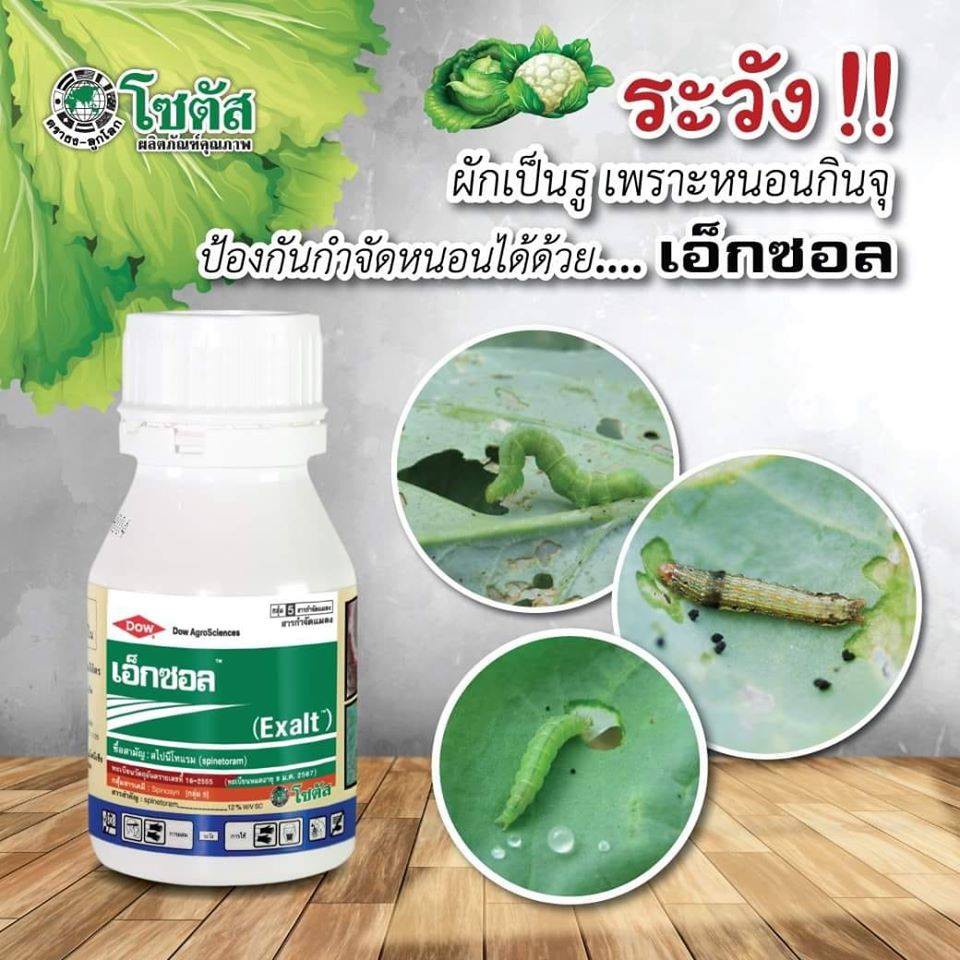 เอ็กซอล สารสไปนีโทแรม 250 ซีซี กำจัดเพลี้ยไฟ หนอนเจาะ หนอนชอนใบ ยาสูตรเย็นSC