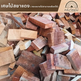 WOOD OUTLET (คลังวัสดุไม้) เศษไม้ ไม้สยาแดง ไม้เนื้อแข็ง 10 ชิ้น คละขนาด กว้าง 5-10 cm.ยาว 10-30cm. ไม้ท่อน DIY wood