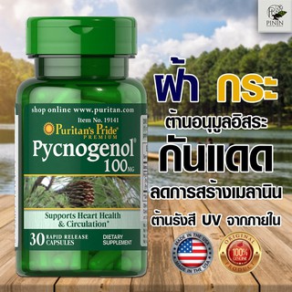 สารสกัดเปลือกสนฝรั่งเศส ฝ้าจาง ริ้วรอยลด ผิวขาวใส puritan Pride Pycnogenol 100 mg 30 Capsules