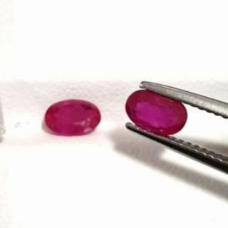SALE พลอยแท้ ทับทิมอาฟ 2 / 1.45 Ct.