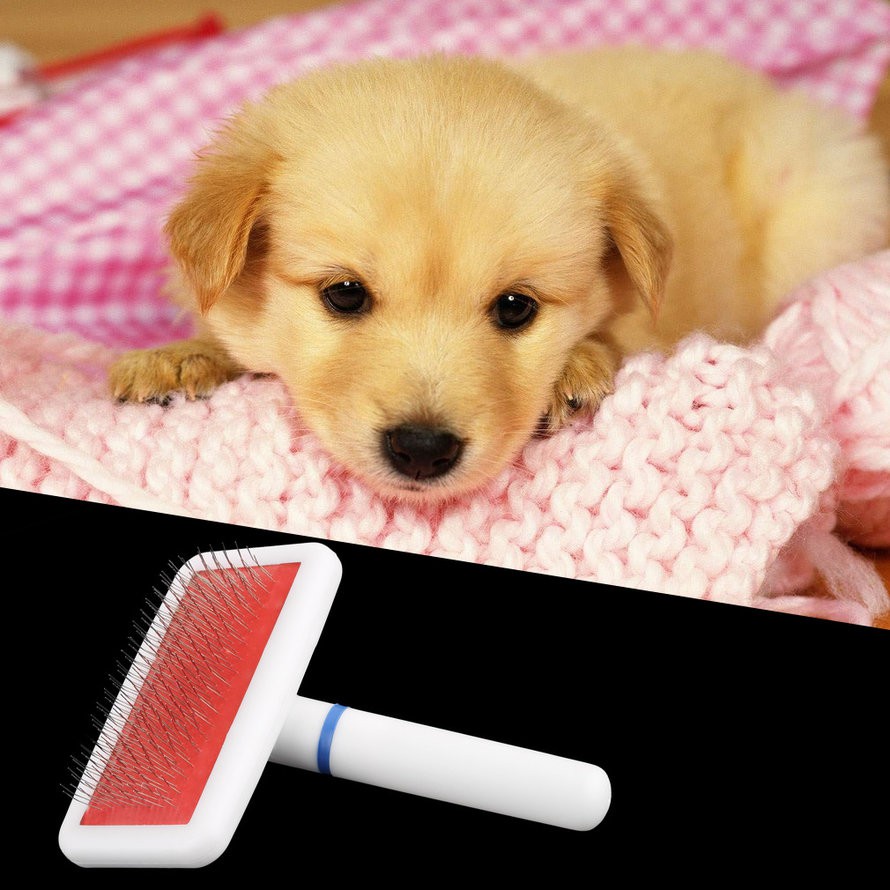 dog grooming tools for shedding