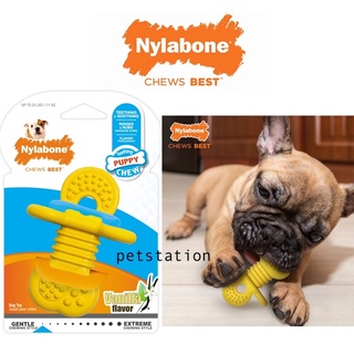 Nylabone Gentle Chew ของเล่นขัดฟัน