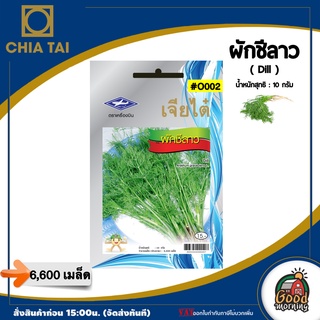 CHIATAI 🇹🇭 ผักซอง เจียไต๋ O002#ผักชีลาว  เมล็ดพันธุ์  เมล็ดพันธุ์ผัก  ผักสวนครัว ผักเจียไต๋ Chia Tai ตราเครื่องบิน