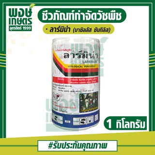 ลาร์มิน่า Larminar บาซิลลัส ซับทิลิส 1Kg (Bacillus subtilis AP-01)  สารชีวภาพ ป้องกันรักษาโรคพืช โรคดอกเน่า โรคกาบใบแห้ง