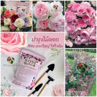 Rose plus+ สารอาหารบำรุงกุหลาบ