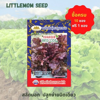 เมล็ดผักสลัดเรดคอส ภูเขาทอง 200 เมล็ด