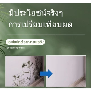 น้ำยาฆ่าเชื้อรา น้ำยากำจัดเชื้อรา กำจัดเชื้อรา เชื้อรา คราบเชื้อรา น้ำยาฆ่าเชื้อรา​แบบสเปรย์ น้ำยากำจัดคราบสิ่งสกปรกผนัง
