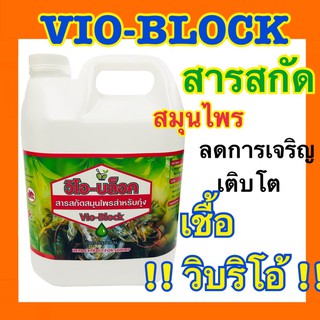 VIO - BLOCK สารสกัดสมุนไพรสำหรับกุ้ง ลดการเกิดโรคขี้ขาวในกุ้ง 1 กล่อง ต่อ 1 คำสั่งซื้อนะคะสินค้ามีขนาดใหญ่