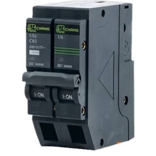 148.ลูกย่อย เซอร์กิตเบรคเกอร์ 2P 63A ช้าง Chang Circuit Breaker