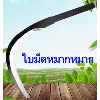 หัวตัดหมาก หัวใบมีด เครื่องตัดหญ้าการเกษตร เครื่องตัดหมากหมาก มีดวัชพืชน้ำ มีดหมากยืดไสลด์ วิลโลว์เคียวเคียวหัว