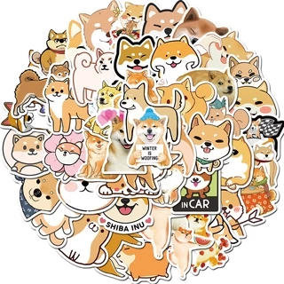✨พร้อมส่ง✨สุนัขโกลเด้น japan shiba dog cat STICKER 50แผ่น กันน้ำ สติ๊กเกอร์ กระโปรงหลังรถ