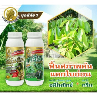 อะมิโน มิกซ์ หรือกรีน  1,000 ซีซี ฟื้นฟูสภาพต้น เพิ่มการแตกใบอ่อน