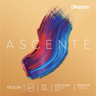 ชุดสายไวโอลิน D’Addario รุ่น ASCENTÉ 4/4 (D Addario Ascente)