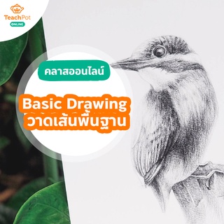 Basic Drawing - คอร์สวาดเส้นพื้นฐาน