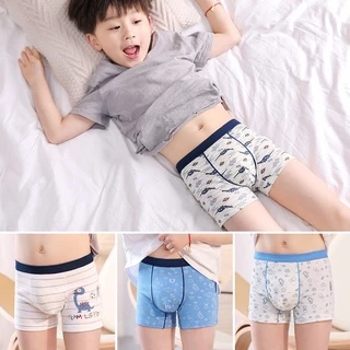 กางเกงในเด็กผู้ชาย เด็กโต/เด็กเล็ก/Boy/Children/underwear ผ้าฝ้ายแท้100% 2-13ขวบ/บ๊อกเซอร์เด็กชายระบายอากาศ(4ตัว/แพ็ค)