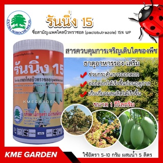 🍄อาหารเสริม🍄 รันนิ่ง15 ขนาด 1 กิโลกรัม แพคโคลบิวทราซอล 15% แพคโค ช่วยกระตุ้นการออกดอก ทำให้ออกดอกได้เร็วขึ้น