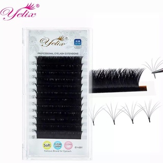 Yy Yelix และ Volume Brazilian Hyena Lashes