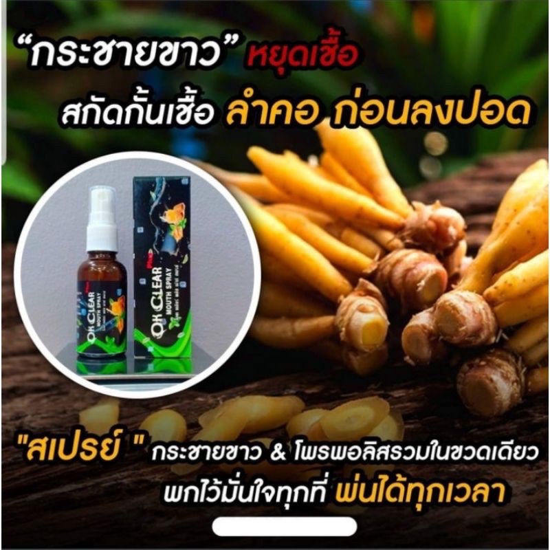 สเปรย์พ่นคอ 30ml. สเปรย์กระชายขาว​ OK Clear ของแท้100%​ สเปรย์ฆ่าเชื้อในคอ ลดการเจ็บคอ​ เม้าท์สเปรย์