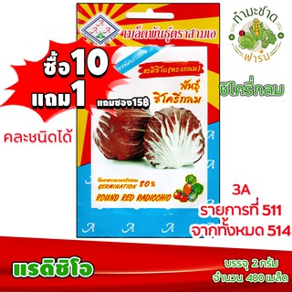 (ซื้อ10แถม1) เมล็ดพันธุ์ แรดิชิโอ Red Radicchio ประมาณ 400เมล็ด 3A สามเอ ผักสวนครัว เมล็ดพันธุ์พืช เมล็ดผัก เม็ดผัก