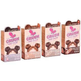 โปรโมชั่น : Freshful Crush Hair Color Ash