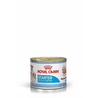 Royal Canin Starter Mousse 195g อาหารเปียก สุนัข Exp.01/2024