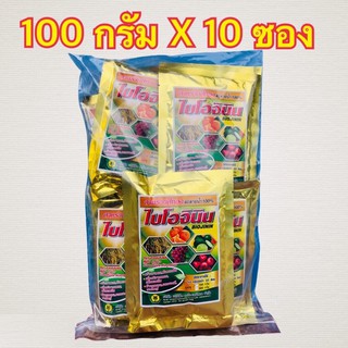 ไบโอจินิน สาหร่ายสีทอง #ผงสาหร่ายทะเล 100% สร้างตาดอก ดึงดอกพืช 100กรัมx10ซอง