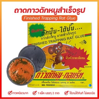 ขายดี !! กาวดักหนูวิทยาศาตร์ กาวดักหนูสำเร็จรูป 100G