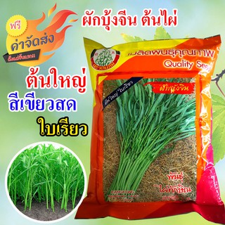 **ส่งฟรี** ผักบุ้งจีน เมล็ดพันธุ์ผักบุ้งจีน ผักปลอดสาร ผักบุ้งจีน ต้นใหญ่ ใบเรียว พันธุ์ไผ่ทักษิณ