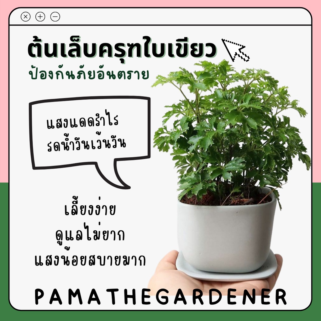 มุมมอง 3