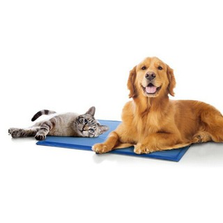 แผ่นเจลเย็นสุนัข Pet Cool mat ที่นอนเจลเย็นสำหรับสุนัข ระบายความร้อนได้ดี