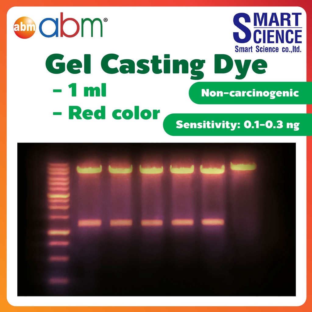 abm® SafeView FireRed Gel Casting Dye gel stain nucleic acid agarose polyacrylamide gels electrophor