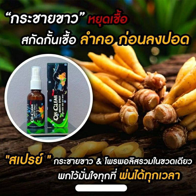 สเปรย์พ่นคอ สกัดจากกระชายขาว 30ml. สเปรย์ดับกลิ่นปาก พ่นดักเชื้อที่ช่องปากและคอ ok clear