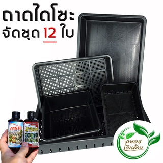 [มีโค๊ดส่วนลด60บาท]เกษตรเงินล้าน ถาดไดโซะรู/ตัน ยกโหล(12ใบ) คละได้ ขนาด 50*35*8 งานหนาๆ