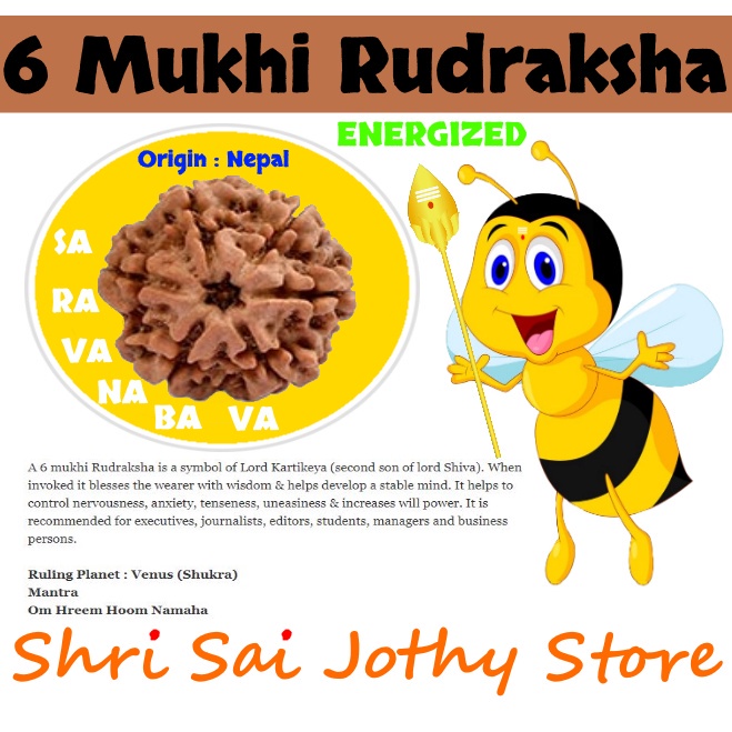 Energized 6 Mukhi Rudraksha นําเข้าจาก NEPAL mala mala mala mala ลูกประคําลูกปัดสมาธิ - Shri Sai Jot