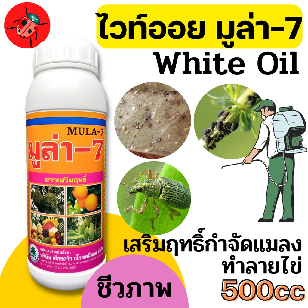 [500cc] มูล่า ไวท์ออย white oil 99.8% กำจัดแมลง ป้องกันเพลี้ย ไรแดง แมลงหวี่ คุมไข่แมลง