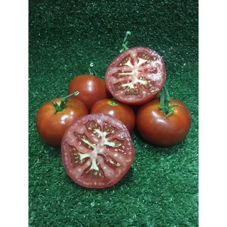 มะเขือเทศเนื้อ ปลอดสาร🍅 - มีใบรับรอง มะเขือเทศ มะเขือเทศใช้ทำสลัด น้ำปั่นสกัดเย็น