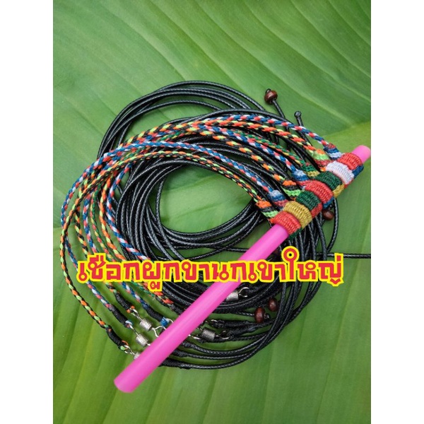 เชือกผูกขานก เชือกขานกเขา เส้นละ41บาท ยาวทั้งเส้น 85ซม.