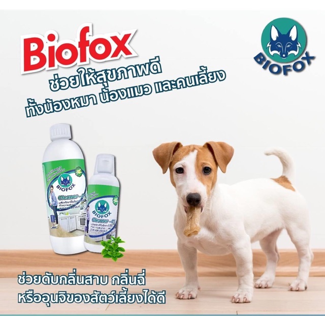 Biofox Cleaner C-1 น้ำยาขจัดกลิ่นสัตว์เลี้ยง น้ำยาขจัดกลิ่นสุนัข น้ำยาขจัดกลิ่นแมว น้ำยาขจัดกลิ่นอเน