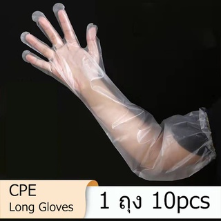 😁พร้อมจัดส่ง CPE Long Glove ถุงมือพลาสติกยาว 60cm ใช้แล้วทิ้ง Free size เหนียว ยืดหยุ่นสูง ถุงมือผสมเทียม ถุงมือผ่าตัด