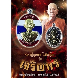 เจริญพรบน หลวงปู่บุญมา สำนักสงฆ์เขาแก้วทอง จ.ปราจีนบุรี