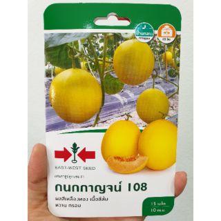 แคนตาลูป กนกกาญจน์108 15 เมล็ด ตราศรแดง