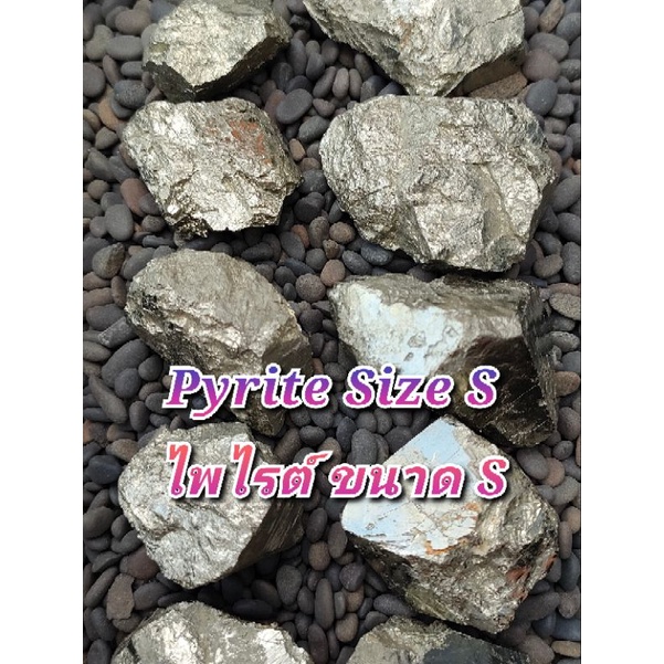 👑 ไพไรต์ ก้อนดิบ Size S  ( Pyrite Size S ) สีทองอร่ามสวยๆ น่าสะสม ✨