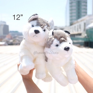 ตุ๊กตา Cutie Siberian Husky ไซบีเรียน ฮัสกี้ ท่านั่ง/นอน 6/9/12นิ้ว ไซบีเรียนฮัสกี้