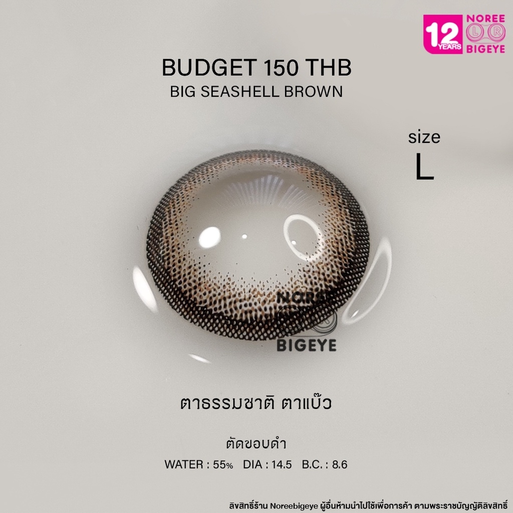 Big Seashell Brown/สีน้ำตาล [สายตาสั้น -0.00 ถึง -10.00] Size Bigeye (L) ขนาดใหญ่ / คอนแทคเลนส์ / ยี