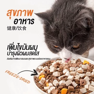 petsecret CATSTER PLAY ขนมแมว Freeze Dried และท็อปปิ้ง ชิ้นเนื้อแท้ๆ 100% ขนาด 40 กรัม
